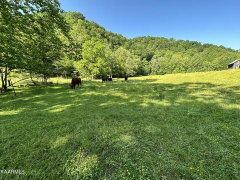 Burning Well Rd, Rose Hill, VA 24281