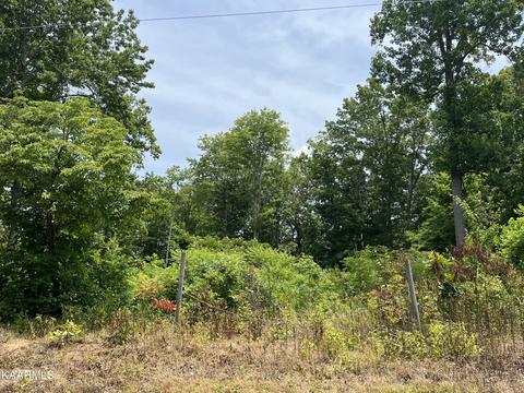 Rural Vale Rd, Tellico Plains, TN 37385