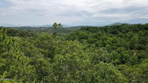 Lot 110 Bluff Ridge Rd, Sevierville, TN 37876