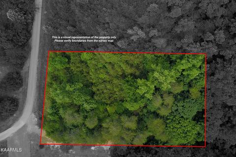 290 Pine Loop Drive, Madisonville, TN 37354