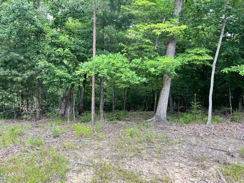 Valarian Drive, Crossville, TN 38558
