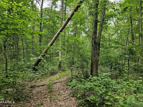 Dye Rd, Clarkrange, TN 38553 photo 8