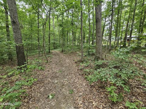 Dye Rd, Clarkrange, TN 38553 photo 3