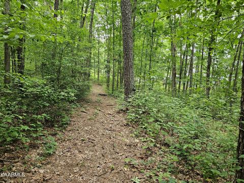 Dye Rd, Clarkrange, TN 38553 photo 7