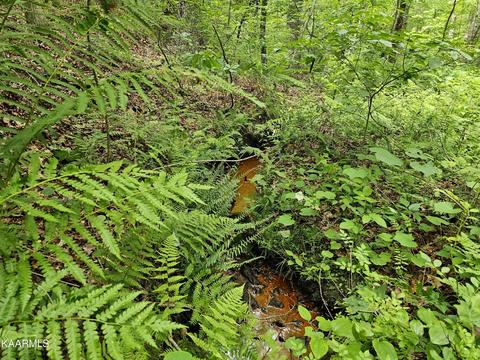 Dye Rd, Clarkrange, TN 38553 photo 4