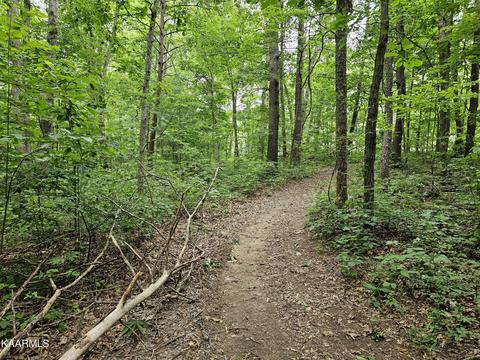 Dye Rd, Clarkrange, TN 38553 photo 11