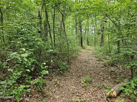 Dye Rd, Clarkrange, TN 38553 photo 5
