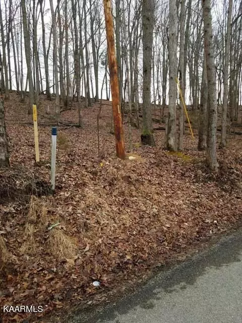 Old Cave Springs Rd, Tazewell, TN 37879