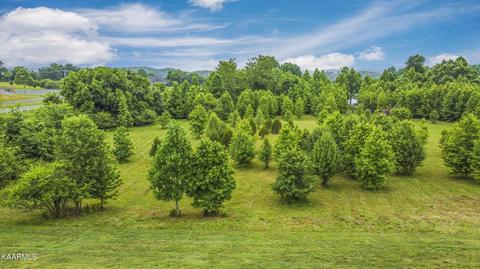 604 W Shore Dr, Rockwood, TN 37854