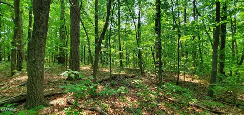 Street Pl Loop, Monterey, TN 38574