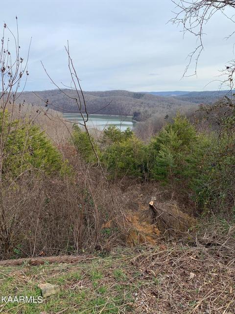 lot590 Whistle Valley Rd, New Tazewell, TN 37825