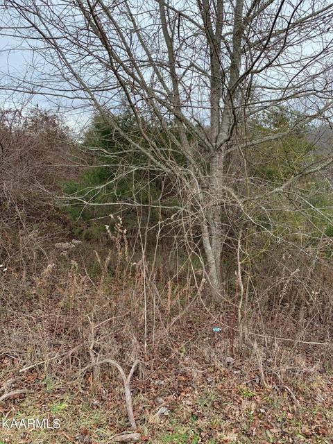 121 Links Ct, Tazewell, TN 37879