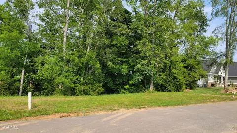 Lot 29 Ivy Way, Newport, TN 37821