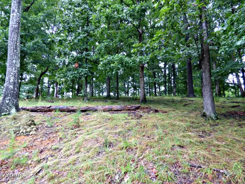 Lot 38r Stonehenge Way, Dandridge, TN 37725