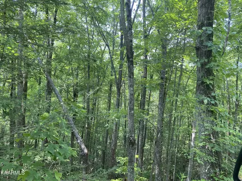 Lot 1 John Sevier Drive, Sevierville, TN 37876