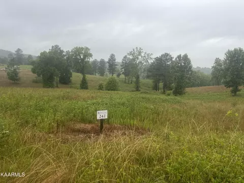 Lot 242 Twin Lakes Drive, Loudon, TN 37774