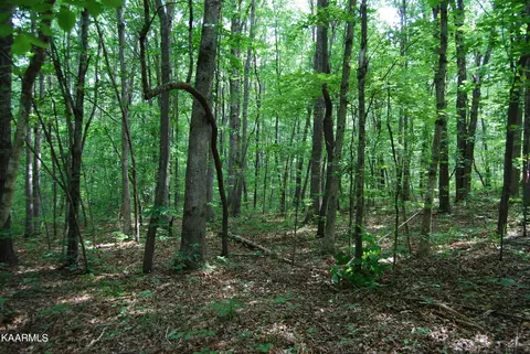 Westwind Rd, Pikeville, TN 37367