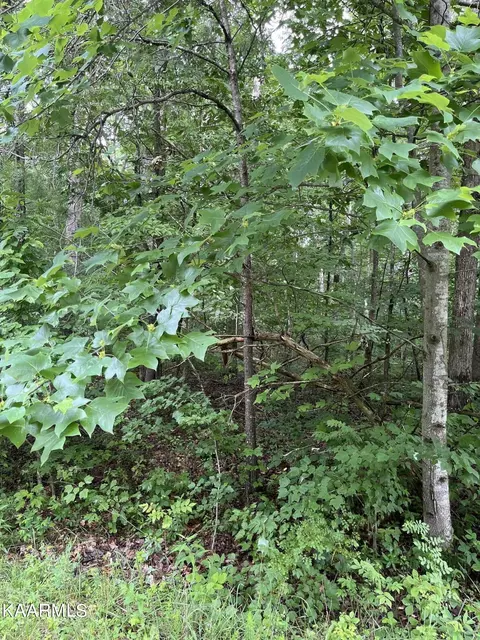 Ashford Drive, Crossville, TN 38572