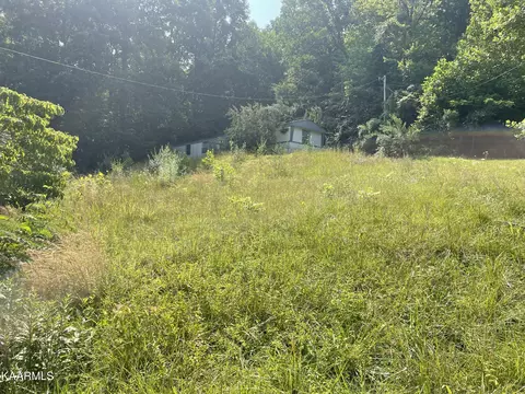 Clear Lake Drive, Jacksboro, TN 37757
