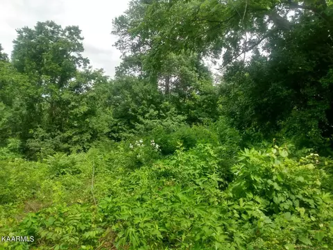 NE Bluet Rd, Knoxville, TN 37918