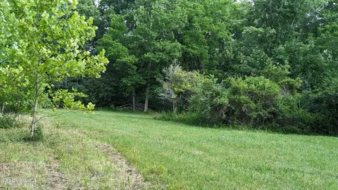 4367 Phillips Flats Rd, Oneida, TN 37841 photo 5