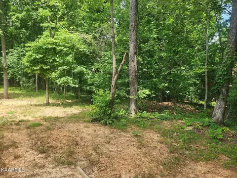 210 Ottawa Pl, Loudon, TN 37774