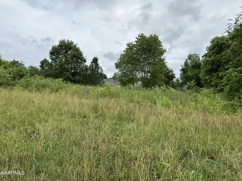 230 Walelu Trl, Vonore, TN 37885
