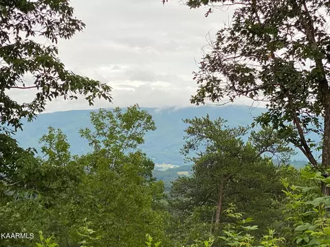 Mountain Trail, Newport, TN 37821