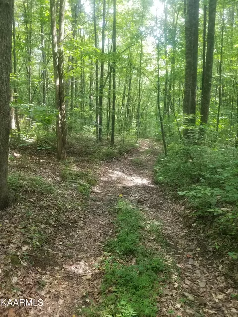 Woods Duncan Rd, Oliver Springs, TN 37840