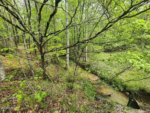 29 Poston Place, Monterey, TN 38574