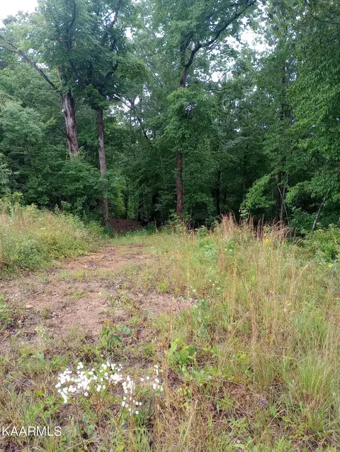Flynns Cove Rd, Crossville, TN 38572