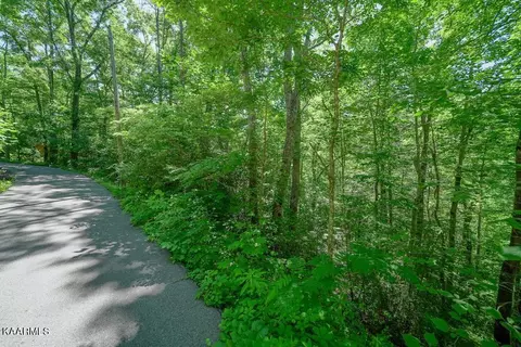 lot34 Ownby Cir, Gatlinburg, TN 37738
