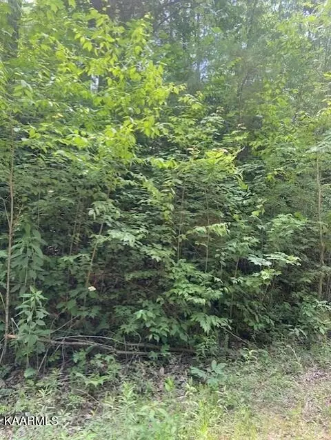 2225 Chilhowee Loop Rd, Walland, TN 37886