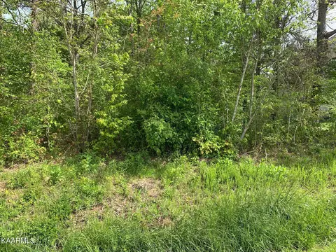 Tract2 E Watkins Rd, Loudon, TN 37774