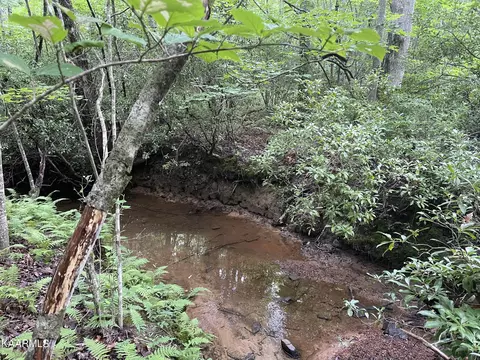 14 T Place #4, Monterey, TN 38574