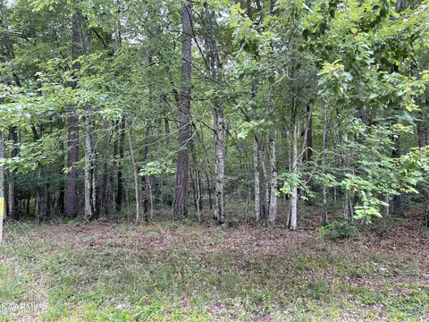 Lot 16 E Overlook Rd, Monterey, TN 38574