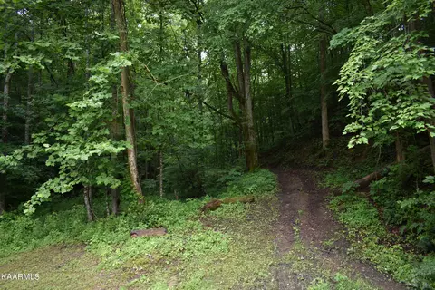 348 Y Rd, Middlesboro, KY 40965