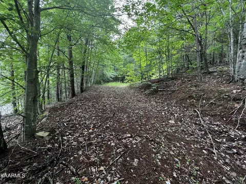 964 Whistle Valley Rd #233, New Tazewell, TN 37825