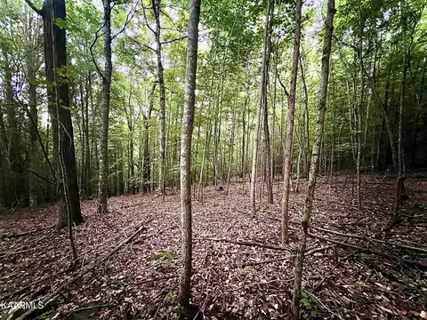 149 Whistle Valley Road, New Tazewell, TN 37825