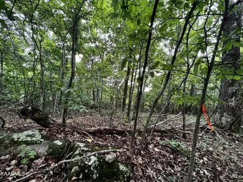 212 Clinch View Road, New Tazewell, TN 37825