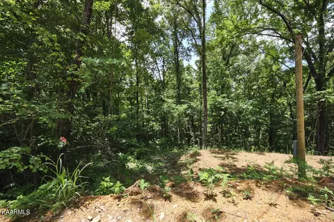 2 86 Ac Blowing Cave Rd, Sevierville, TN 37876