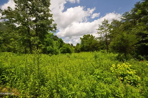 Bailey Lane, Maynardville, TN 37807