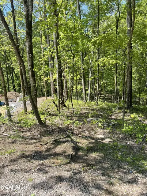 110 Odali Ln, Loudon, TN 37774