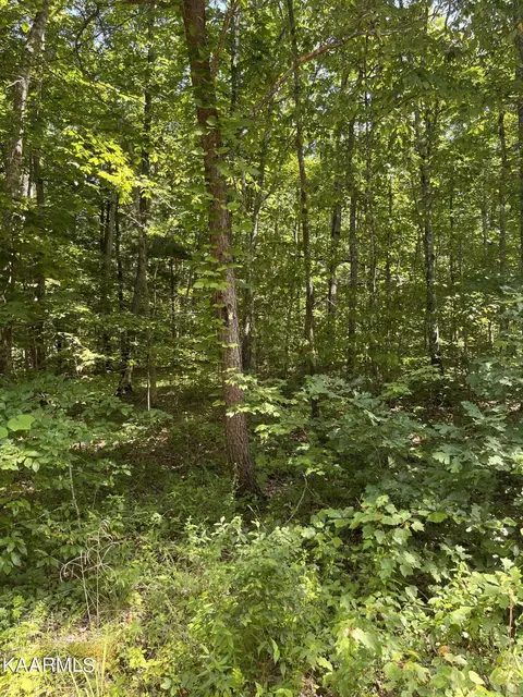 12 Broken Arrow Dr, Crossville, TN 38572