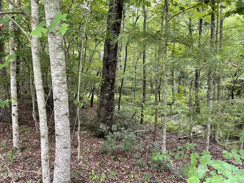 Lot 37 Icy Cove Tr, Monterey, TN 38574