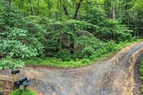 Green Forest Rd, Cosby, TN 37722