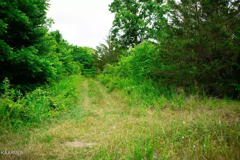 8513 NEmory Rd, Corryton, TN 37721