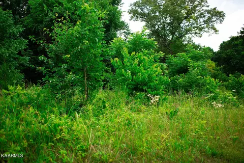 8517 NEmory Rd, Corryton, TN 37721