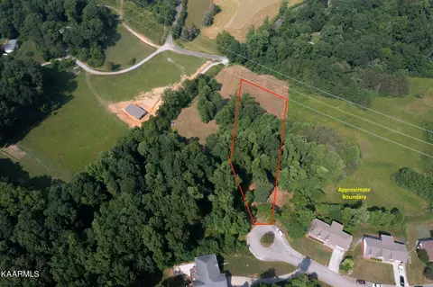 Elizabeth Downs, Knoxville, TN 37931