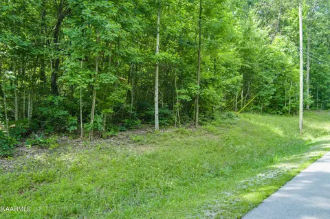 Davidson Drive, Monterey, TN 38574